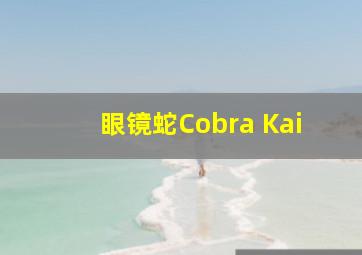 眼镜蛇Cobra Kai